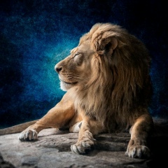 Жигер Сейфолла, 08.06, Талдыкорган