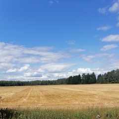 Александр Гаврилов, 08.05.1980, Санкт-Петербург