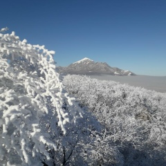 Олег Шафиков, 25.12, Пятигорск