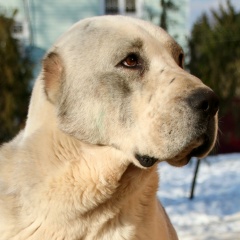 Дарья Гордеева, 19.05.1999, Москва