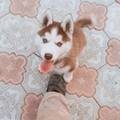 Александр Виничук, 07.10, Омск