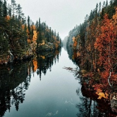 Александр Васильев, 01.02.1986, Старый Оскол