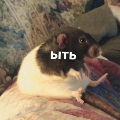 Илона Деханова, 26.02, Владивосток