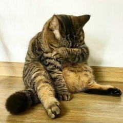 Георгий Сиротченков, 14.03, Санкт-Петербург