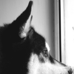 Вова Селивёрстов, 29.11.1990, Атырау