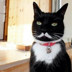 Василиса Кот, 22.02, Санкт-Петербург