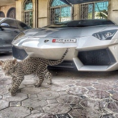 Наталья Беляева, 03.09, Москва