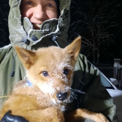 Алексей Голомидов, 21.11.1986, Санкт-Петербург