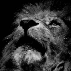 Дмитрий Тетерюков, 25.07.1987, Могилёв