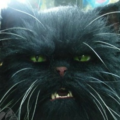 Кот Бегемот, 21.12.1901, Москва