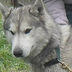 Мария Чунижекова, 05.06, Горно-Алтайск