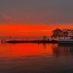 Ekaterina Skripnikova, Strasbourg