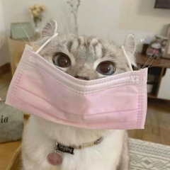 Светлана Бирюкова, 03.07.1997, Москва