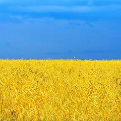 Антон Городецький, 21.04, Киев