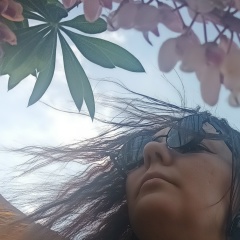 Виола Коффи, 04.11