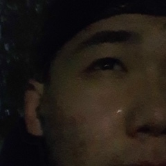 Daniyar Sharipov, Тайынша