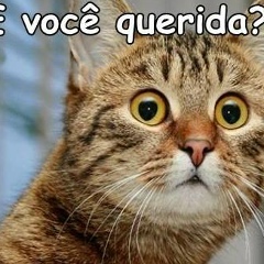 Diego Machado, 27.06.1978, Rio de Janeiro