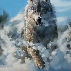 Аян Сат, 21.03, Чадан