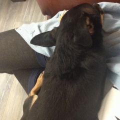 Анна Кушина, 09.12.1997