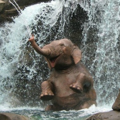 Сергей Дзюбин, 04.06.1989, New York City