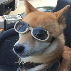 Мишаня Надирашвили, 30.09, Москва