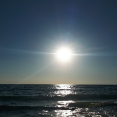 Александр Реутов, 02.12.1986, Екатеринбург