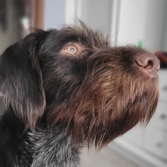 Сергей Широков, 18.11, Санкт-Петербург