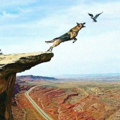 Евгений Хохлов, Москва