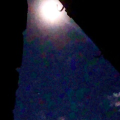 Мансур Тепсуркаев, Москва