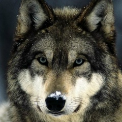 Дархан Айтжанов, 27.09.1986, Караганда