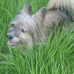 Наташа Юсева, 29.10, Philadelphia