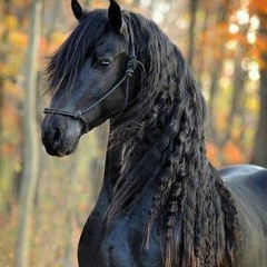 Иссакжон Азимов, Санкт-Петербург