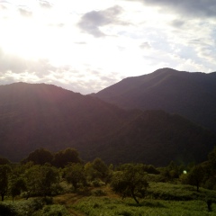 Владимир Кормилицын, 02.12, Ульяновск