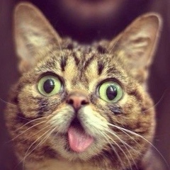 Галина Семушина, 21.11.1983, Москва