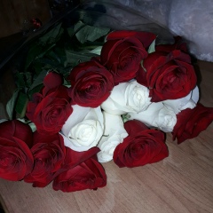 Вера Шамшур, Уральск