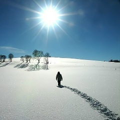Алексей Морозов