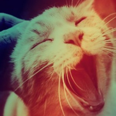 Никита Александров, 22.07