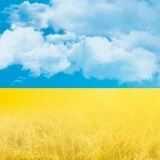 Іра Львов, 23.05.1984, Хмельницкий