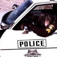 Ниджат Мансурлу, Рязань