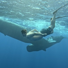 Александр Османов, 16.03.1990, Казань