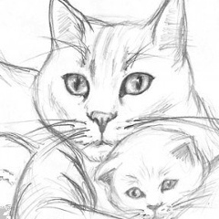 Светлана Колегина, 07.11, Санкт-Петербург