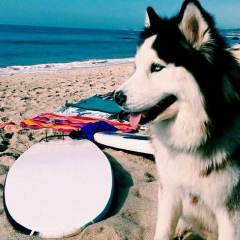 Лика Маигова, 05.08, Москва