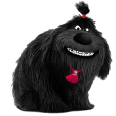 Азат Оразбаев, 23.09, Павлодар