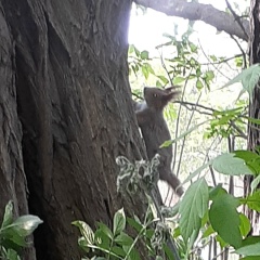 Вася Курош, 24.04, Кишинев