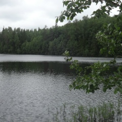 Петр Маргвелашвили, 16.01, Гатчина