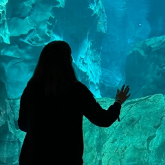 Дарья Рехтина, 25.08, Екатеринбург