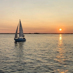 Алексей Домбровский, 12.07.1985, Москва