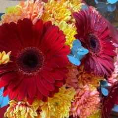 Татьяна Парначева, 18.01, Сыктывкар