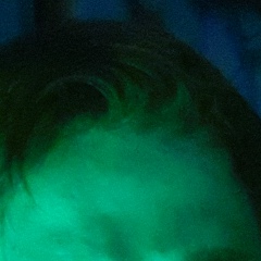 Саша Бондаренко, 24.01, Харьков