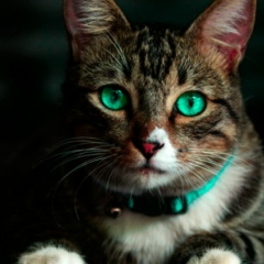 Андрей Мишин, 03.04.1988